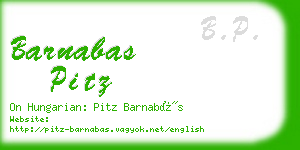 barnabas pitz business card